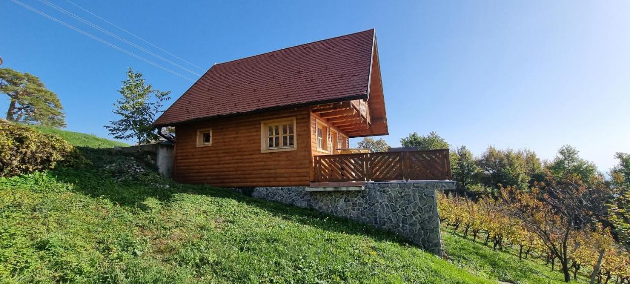 Wine Panorama House Villa Jastrebarsko Eksteriør billede