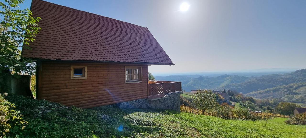 Wine Panorama House Villa Jastrebarsko Eksteriør billede