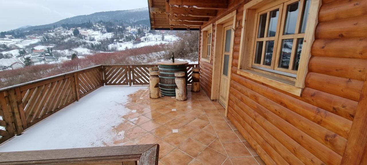 Wine Panorama House Villa Jastrebarsko Eksteriør billede