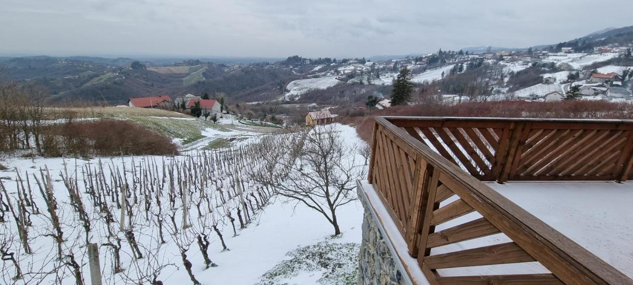 Wine Panorama House Villa Jastrebarsko Eksteriør billede